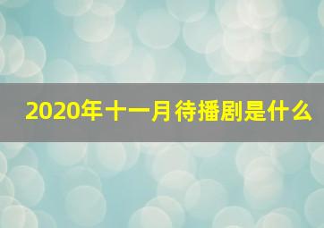 2020年十一月待播剧是什么