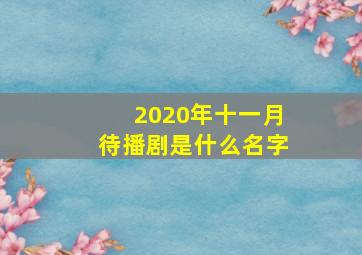 2020年十一月待播剧是什么名字