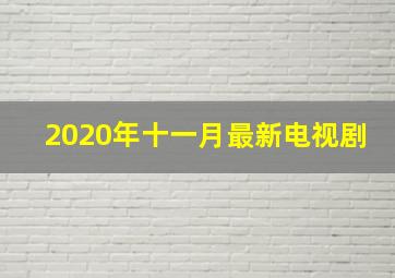 2020年十一月最新电视剧