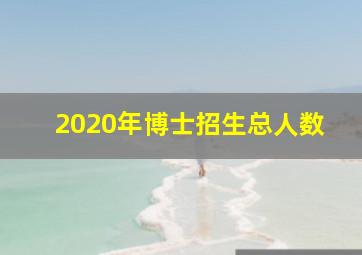 2020年博士招生总人数