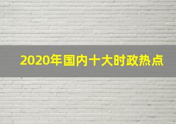 2020年国内十大时政热点