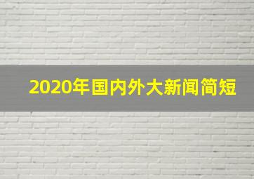 2020年国内外大新闻简短