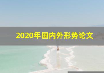 2020年国内外形势论文