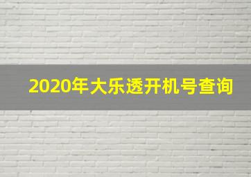 2020年大乐透开机号查询