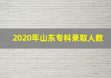 2020年山东专科录取人数