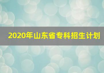 2020年山东省专科招生计划