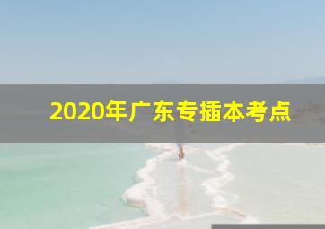 2020年广东专插本考点