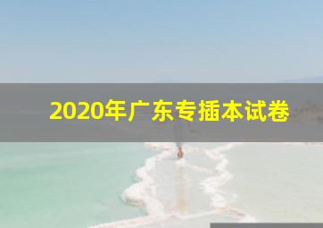 2020年广东专插本试卷