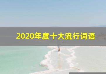 2020年度十大流行词语