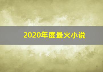 2020年度最火小说