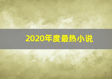 2020年度最热小说