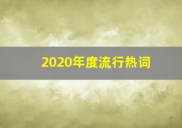 2020年度流行热词