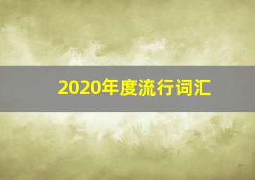 2020年度流行词汇