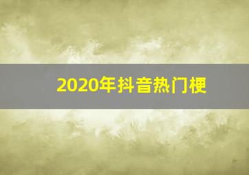 2020年抖音热门梗