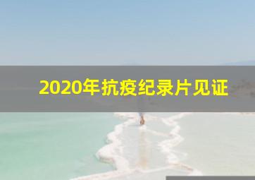 2020年抗疫纪录片见证