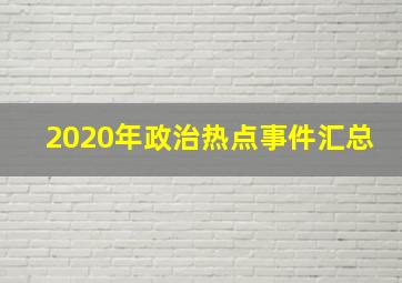 2020年政治热点事件汇总