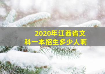 2020年江西省文科一本招生多少人啊