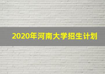 2020年河南大学招生计划