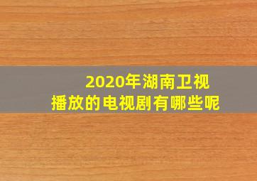 2020年湖南卫视播放的电视剧有哪些呢