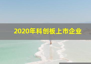 2020年科创板上市企业