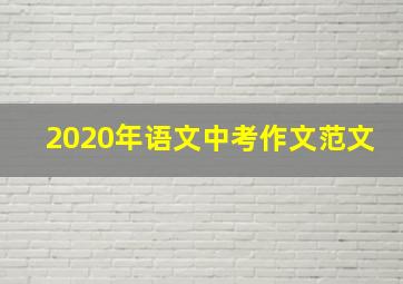 2020年语文中考作文范文