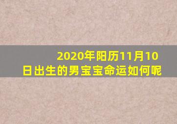 2020年阳历11月10日出生的男宝宝命运如何呢