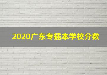 2020广东专插本学校分数