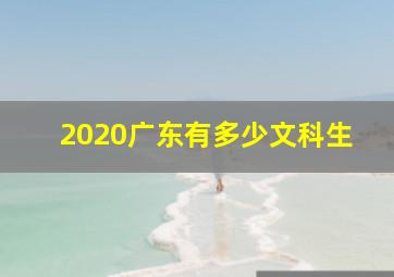 2020广东有多少文科生