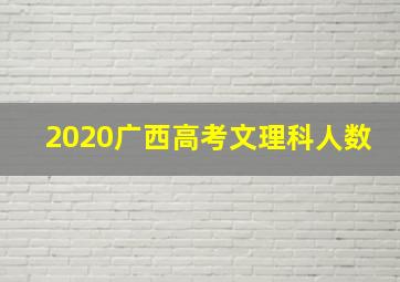 2020广西高考文理科人数