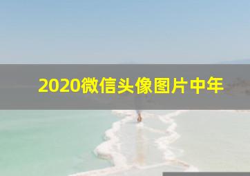 2020微信头像图片中年