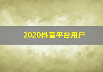 2020抖音平台用户