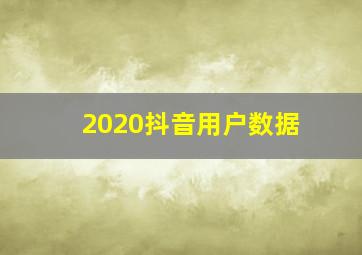 2020抖音用户数据