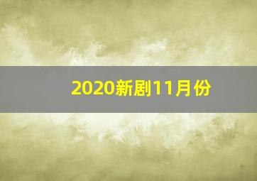 2020新剧11月份