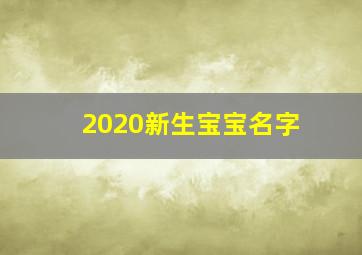 2020新生宝宝名字