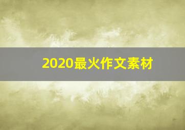 2020最火作文素材