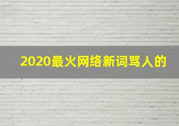 2020最火网络新词骂人的