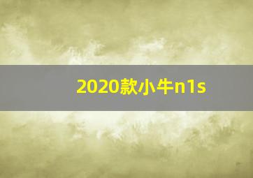 2020款小牛n1s