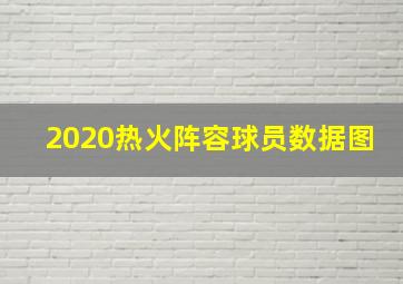 2020热火阵容球员数据图