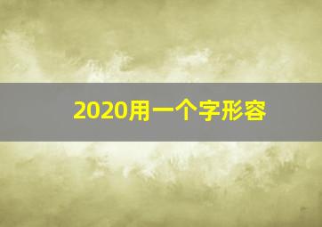 2020用一个字形容