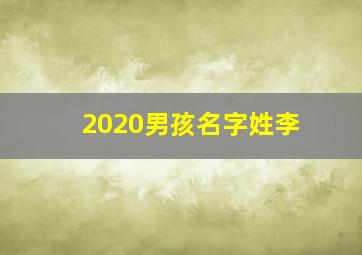 2020男孩名字姓李