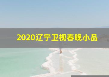 2020辽宁卫视春晚小品