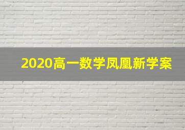 2020高一数学凤凰新学案