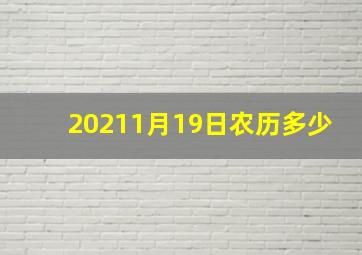 20211月19日农历多少