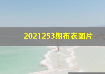 2021253期布衣图片