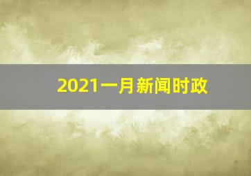 2021一月新闻时政