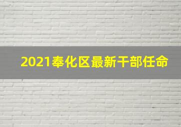 2021奉化区最新干部任命