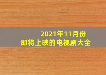 2021年11月份即将上映的电视剧大全