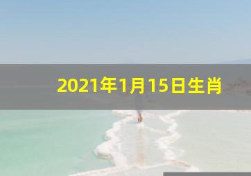 2021年1月15日生肖