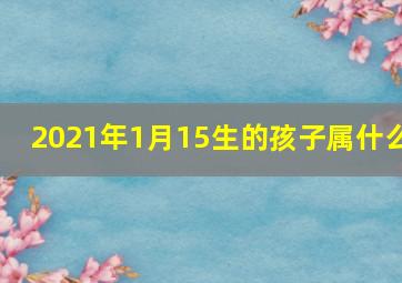 2021年1月15生的孩子属什么