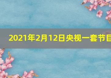 2021年2月12日央视一套节目